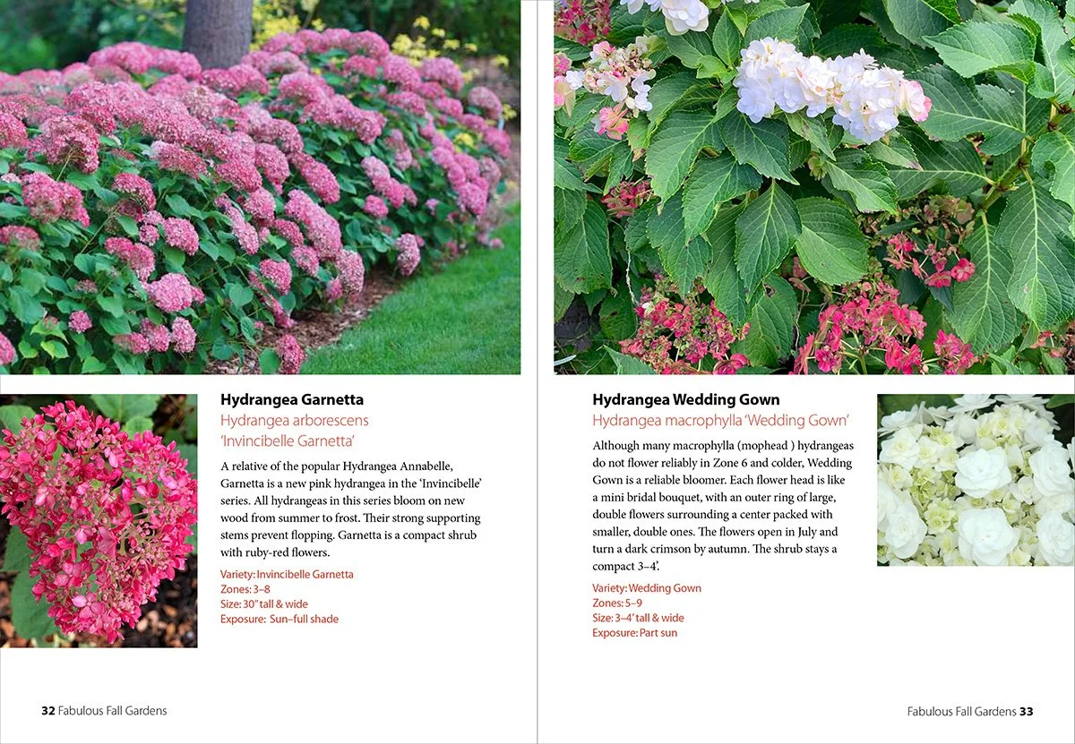 Fabulous Fall Gardens — Enchanted Gardens